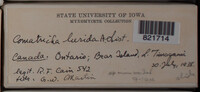 Image Associated With the Occurence